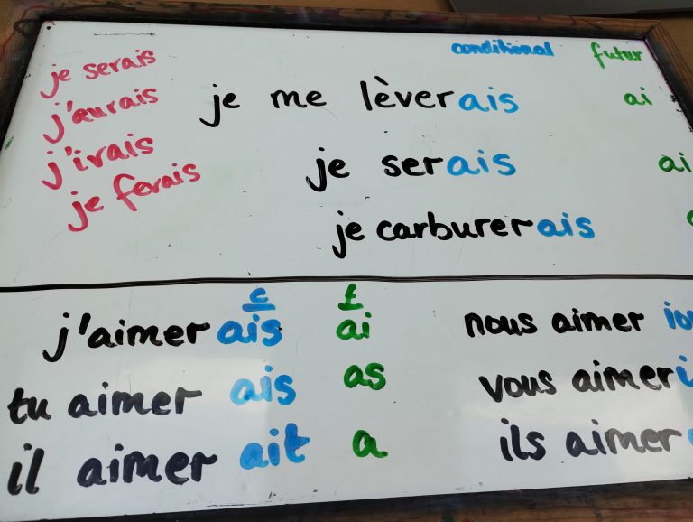 Alice Ayel for French – a review